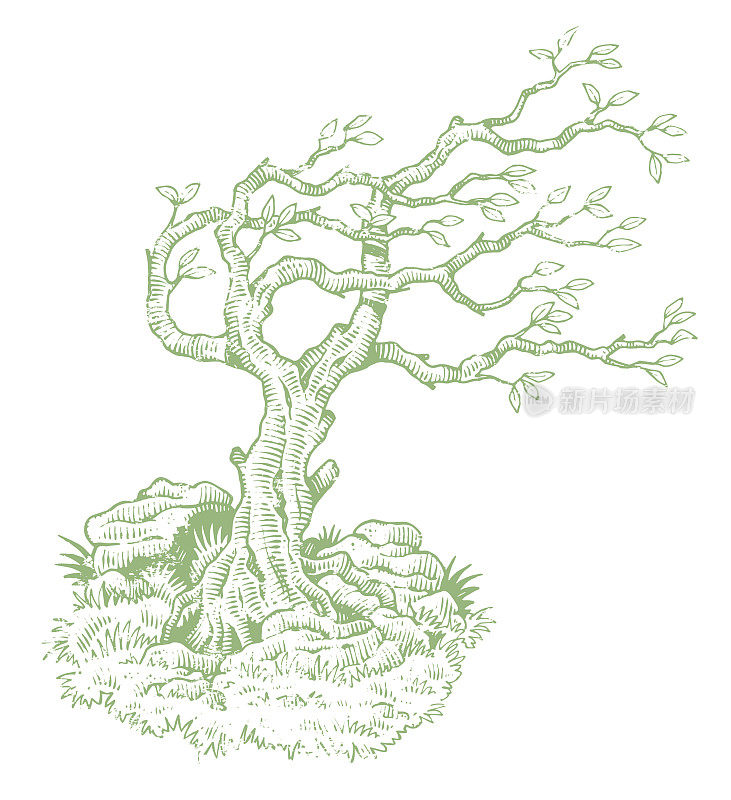 Grunge old green tree illustration